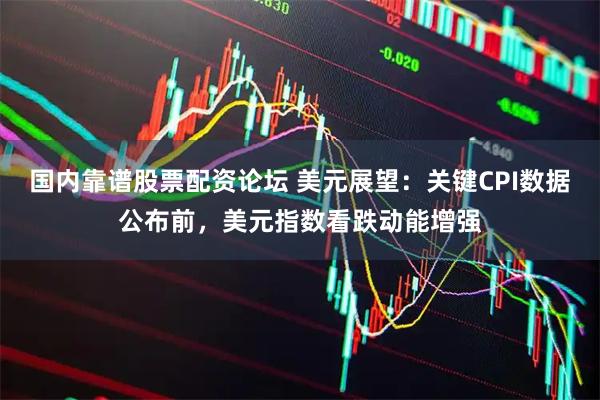 国内靠谱股票配资论坛 美元展望：关键CPI数据公布前，美元指数看跌动能增强