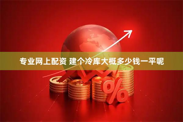 专业网上配资 建个冷库大概多少钱一平呢